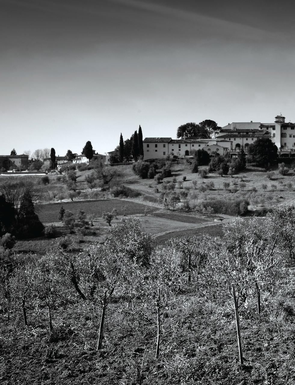 Black+White Photography Preview Pages