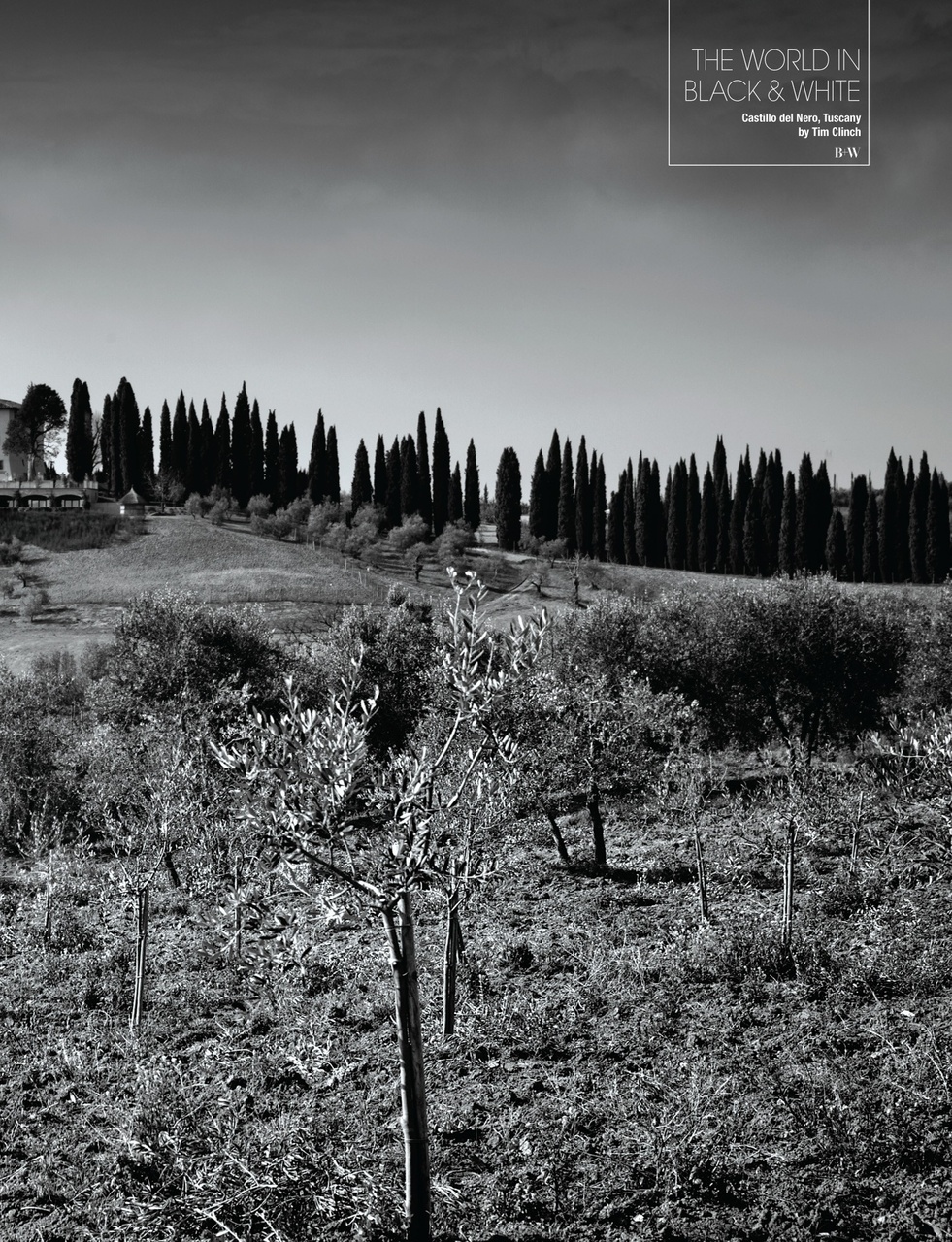 Black+White Photography Preview Pages