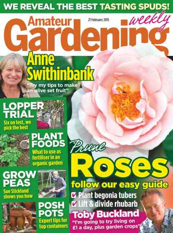 Amateur Gardening issue 21st February 2015