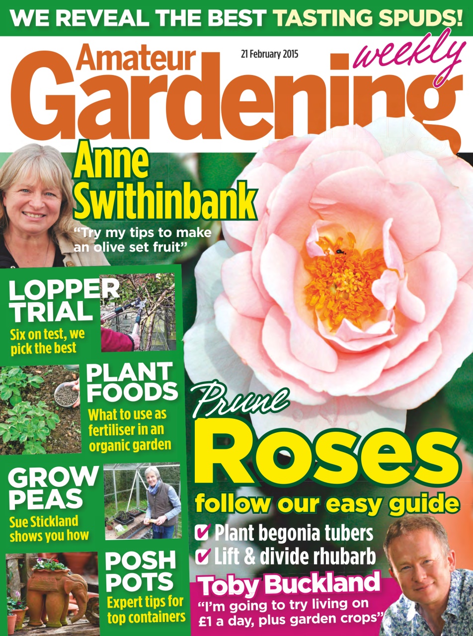 Amateur Gardening Preview Pages