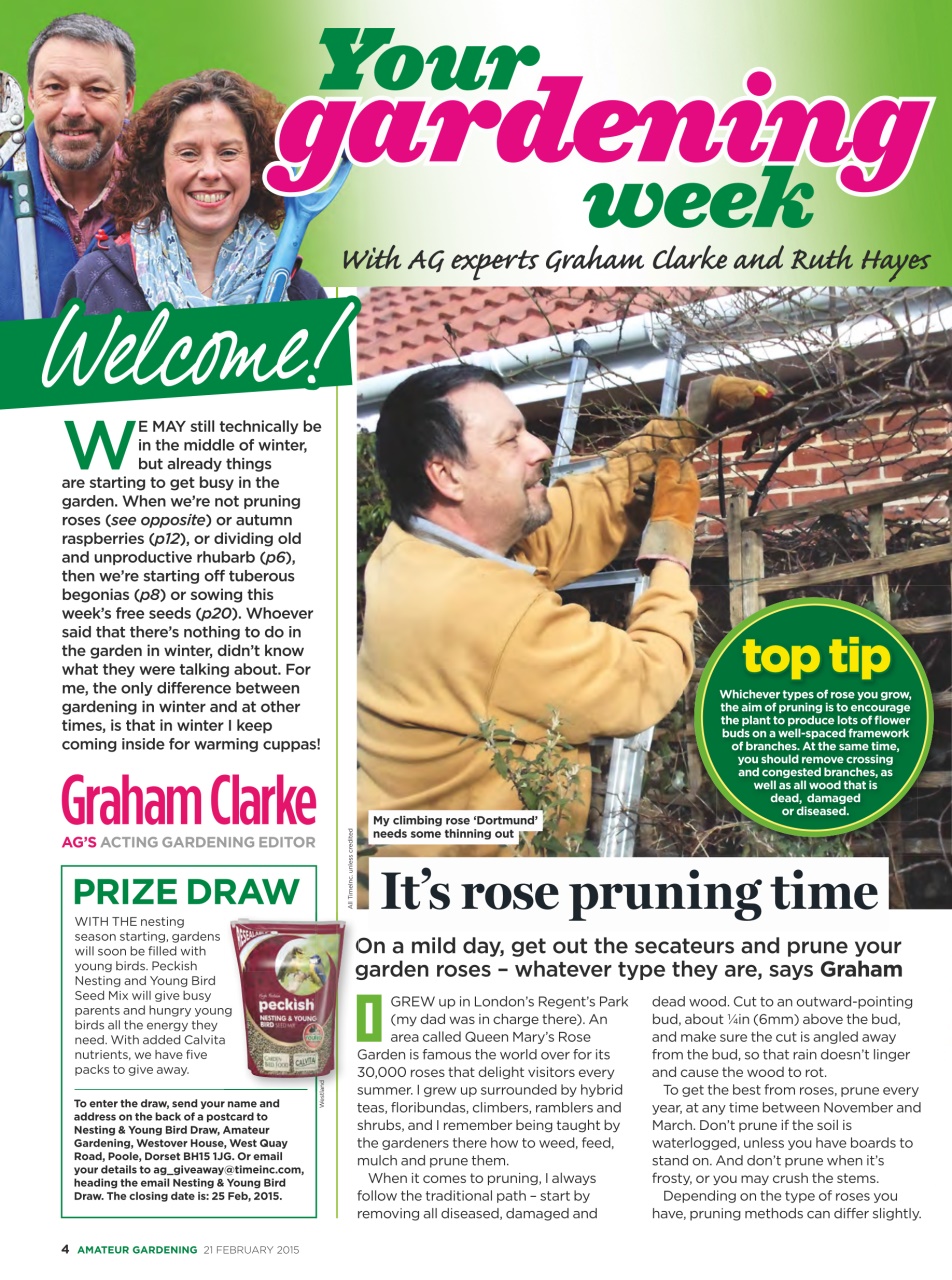 Amateur Gardening Preview Pages