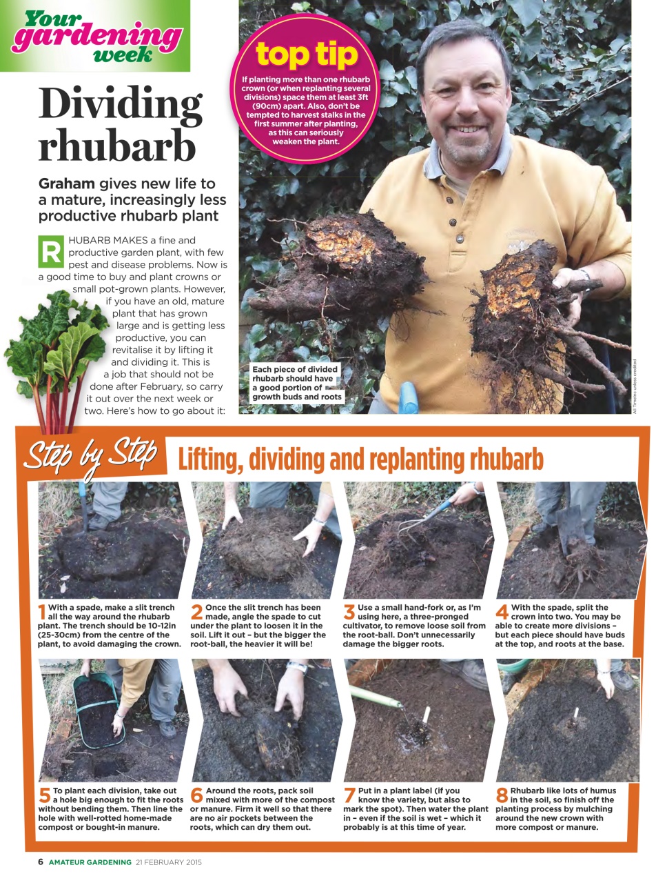Amateur Gardening Preview Pages