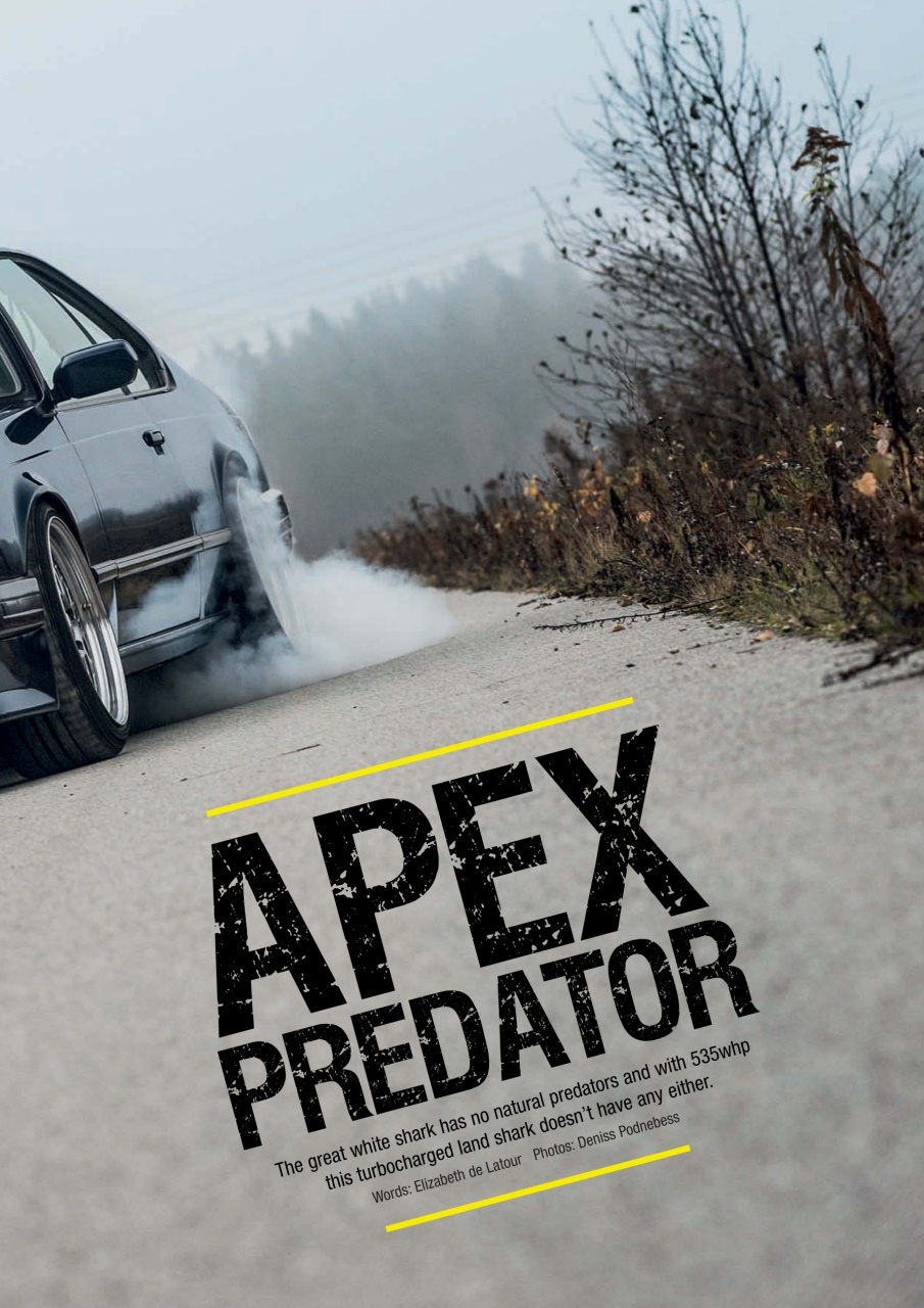 Performance BMW Preview Pages