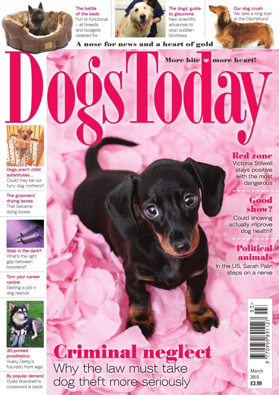 Dogs Today Magazine Preview Pages