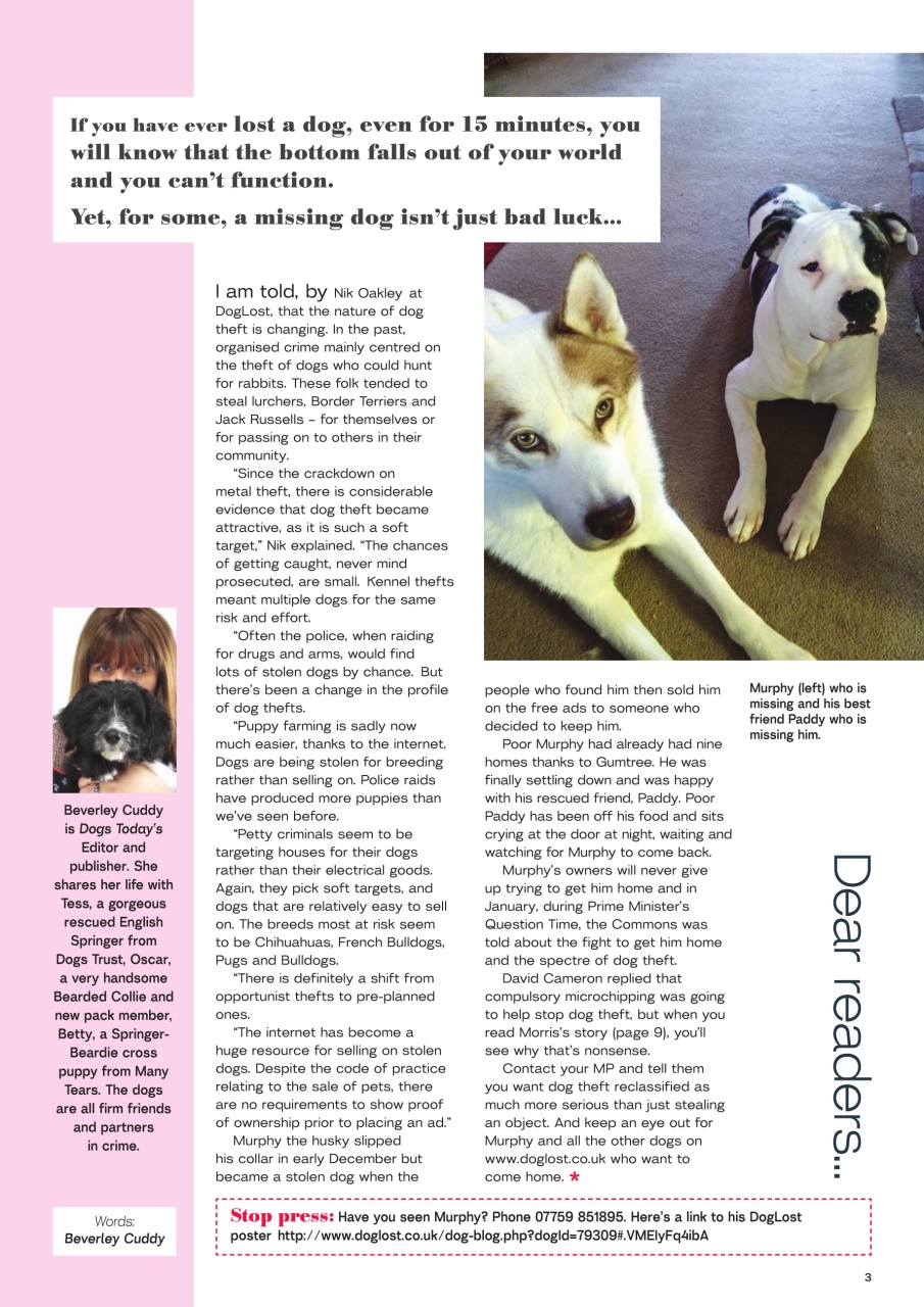 Dogs Today Magazine Preview Pages