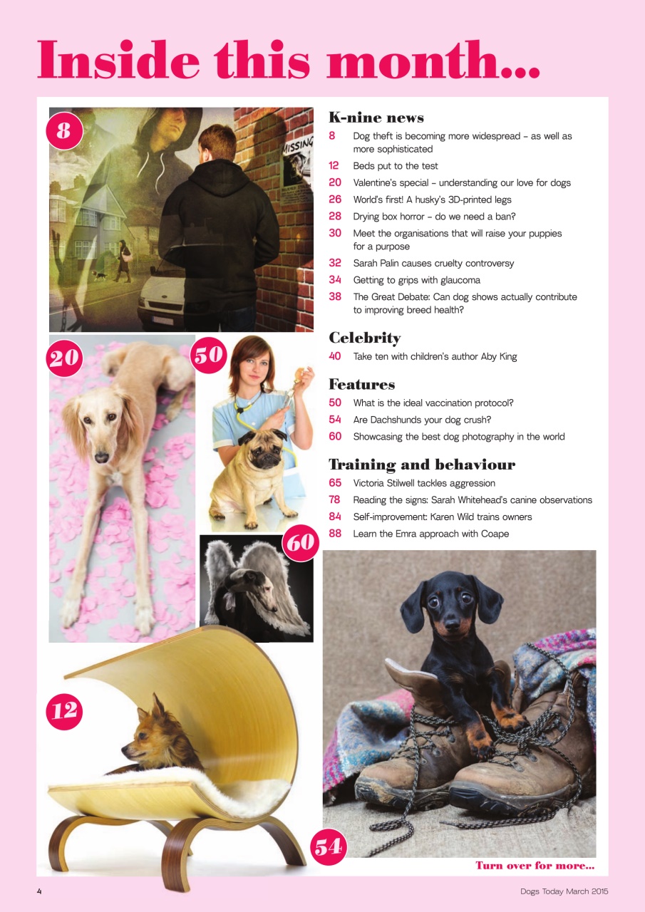 Dogs Today Magazine Preview Pages
