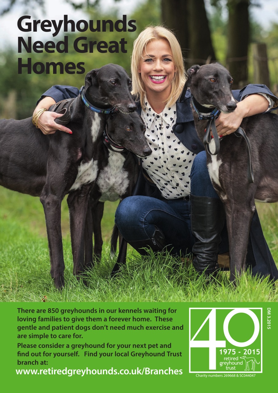 Dogs Today Magazine Preview Pages