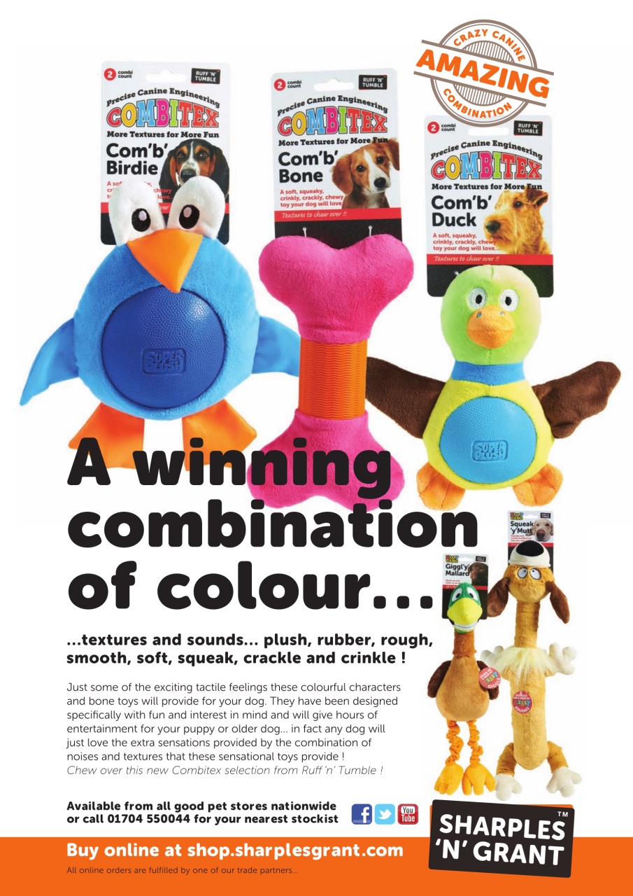 Dogs Today Magazine Preview Pages