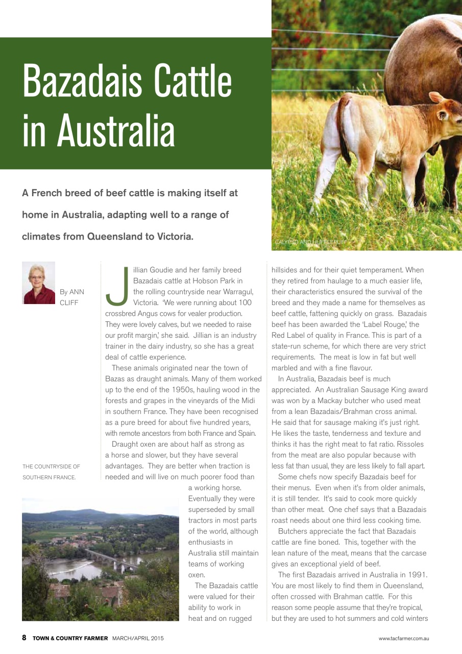 Town And Country Farmer Preview Pages