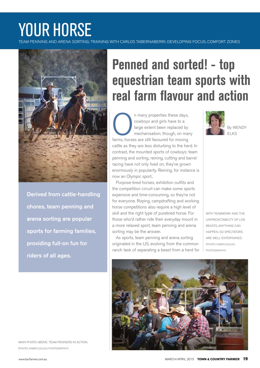 Town And Country Farmer Preview Pages