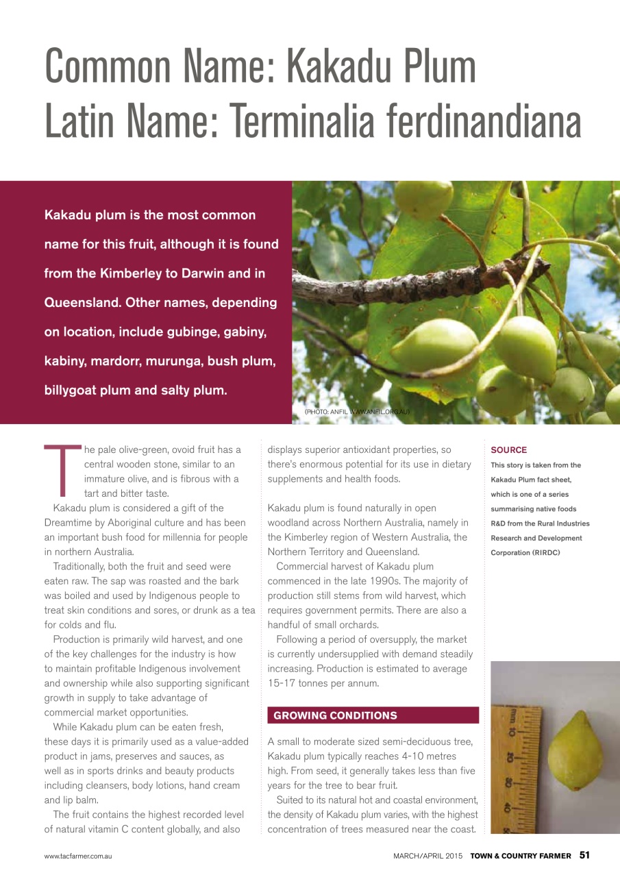 Town And Country Farmer Preview Pages