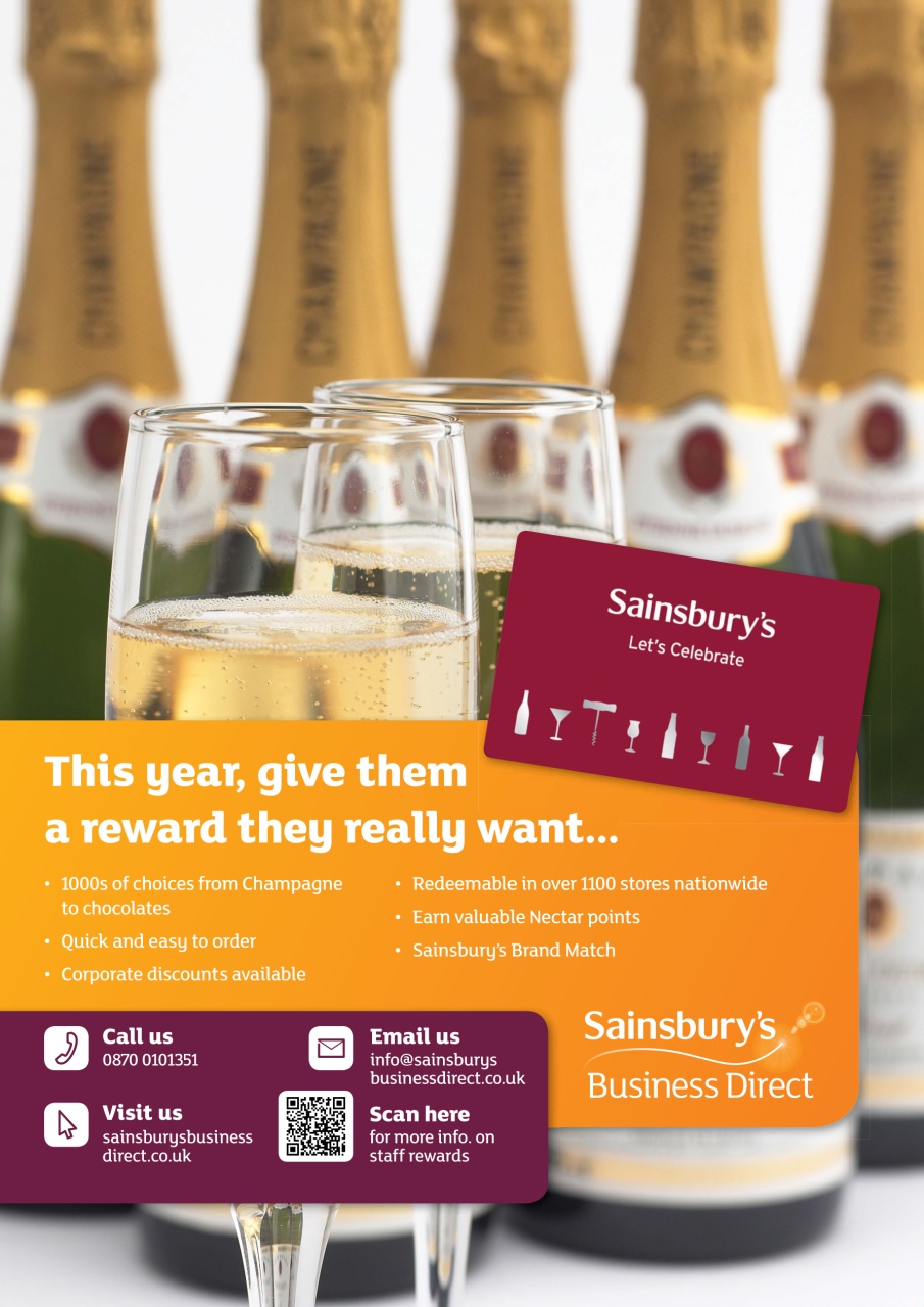 Director of Finance Preview Pages