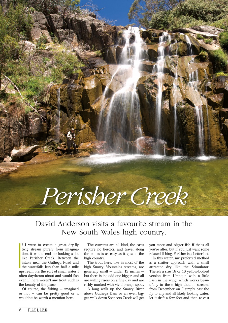 FlyLife Preview Pages