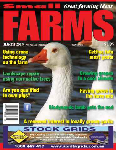 Small Farms issue March 2015