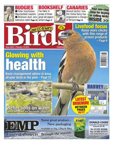 Cage & Aviary Birds issue No.5842 Glowing with Health