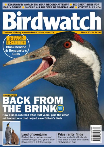 Birdwatch Magazine issue 