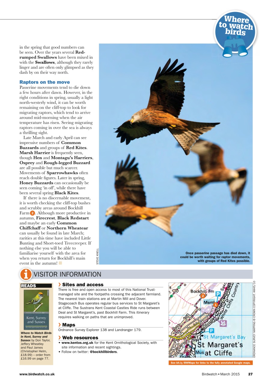 Birdwatch Magazine Preview Pages