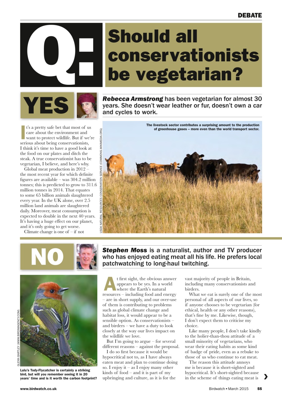 Birdwatch Magazine Preview Pages