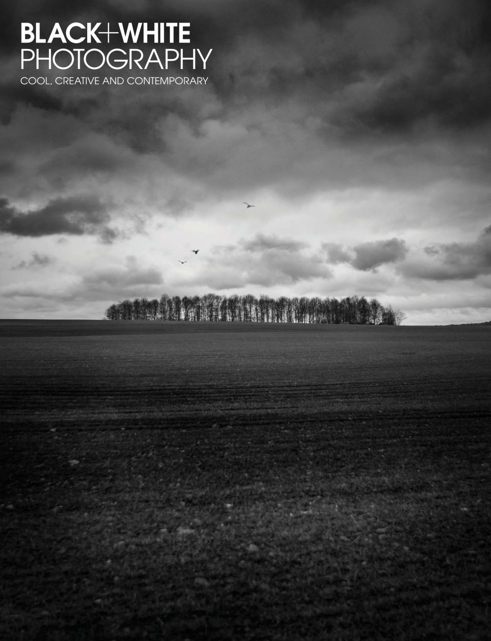 Black+White Photography Preview Pages