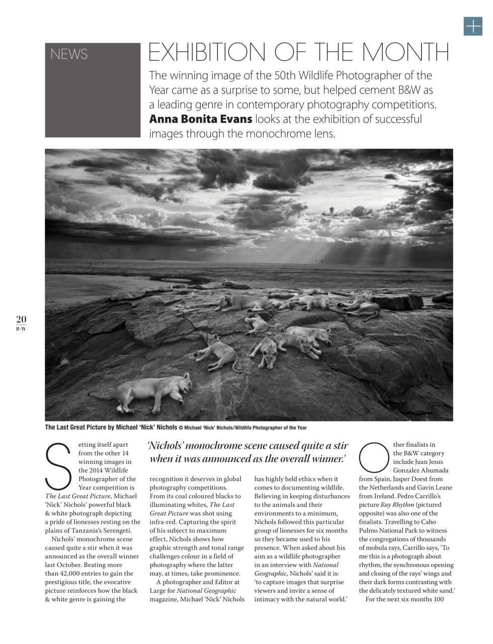 Black+White Photography Preview Pages