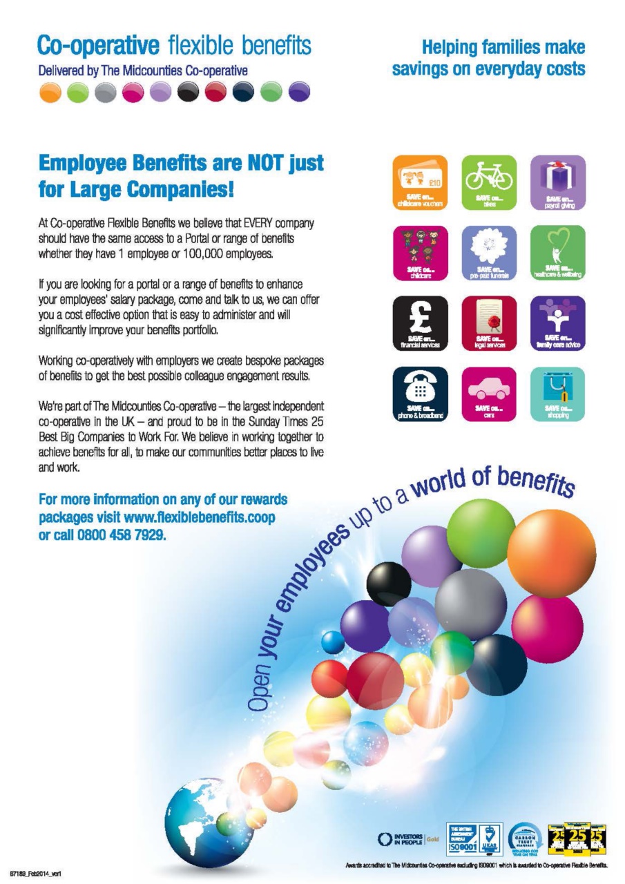 Director of Finance Preview Pages