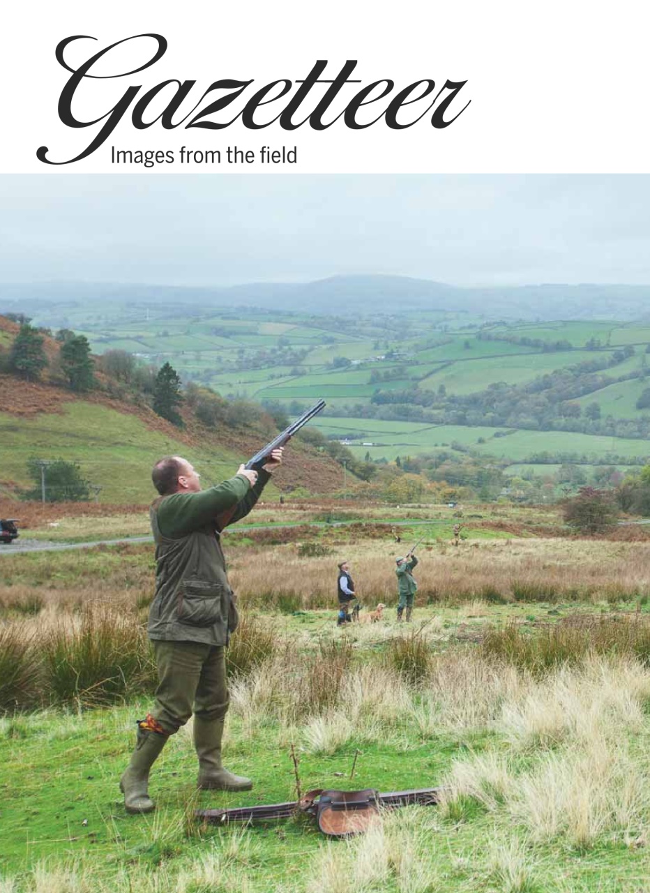 Shooting Gazette Preview Pages