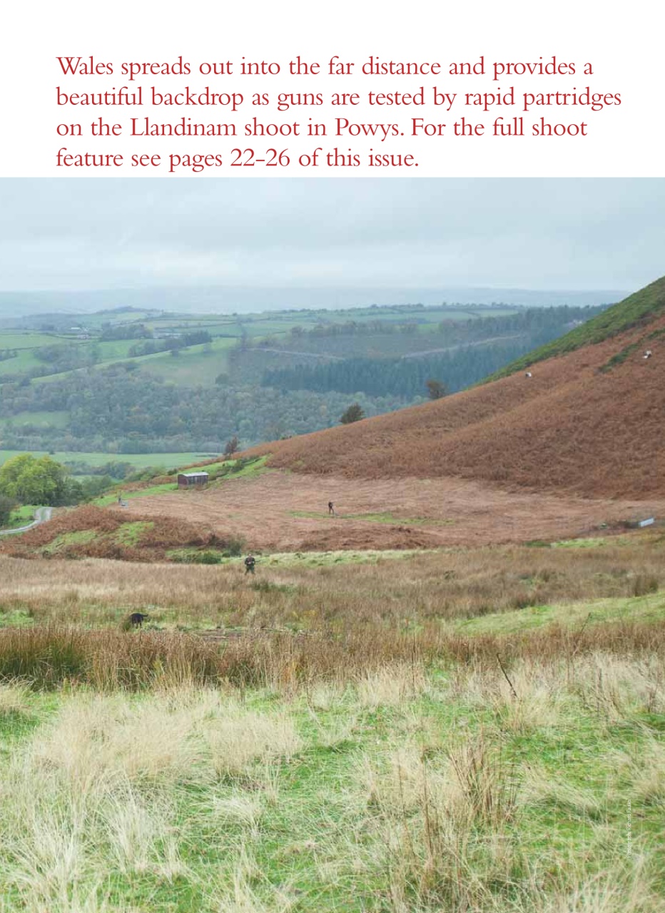 Shooting Gazette Preview Pages