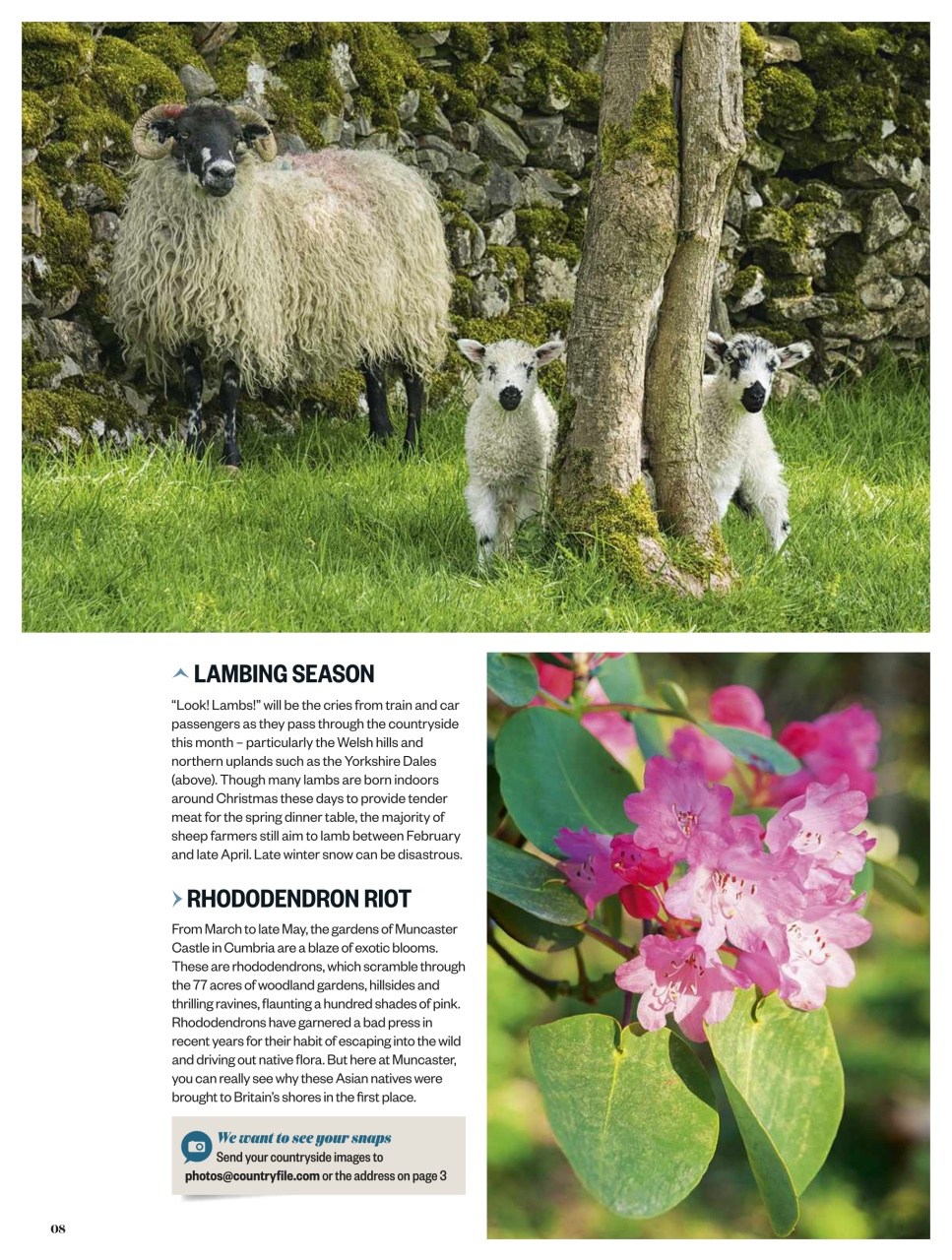 BBC Countryfile Magazine Preview Pages