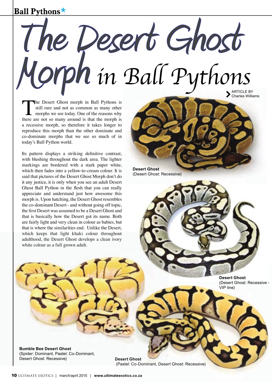 Ultimate Exotics Preview Pages