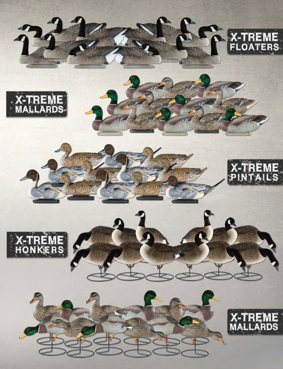 American Waterfowler Preview Pages