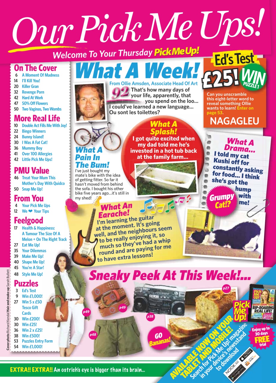 Pick Me Up Preview Pages