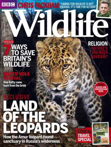 BBC Wildlife Magazine issue March 2015