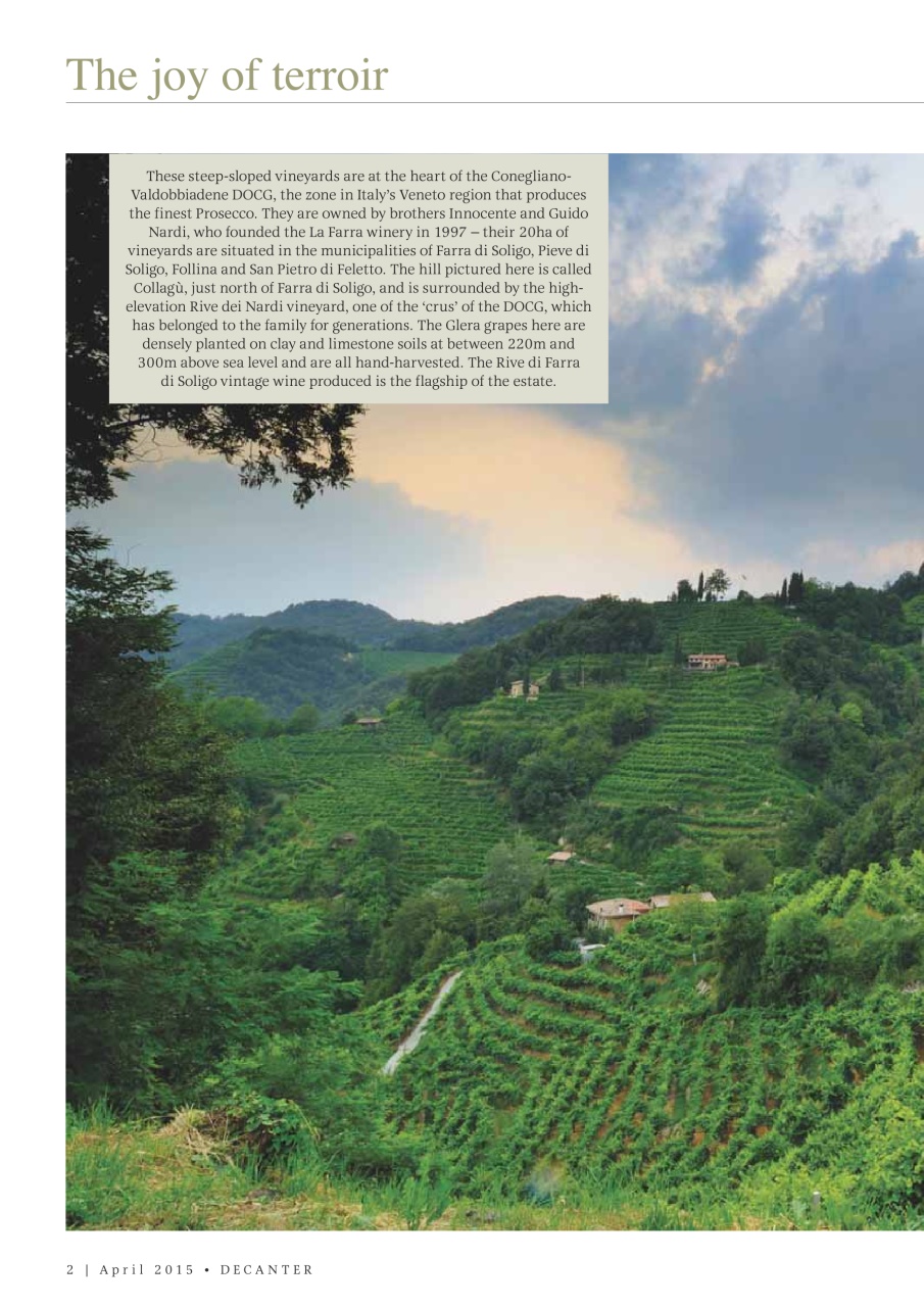 Decanter Preview Pages