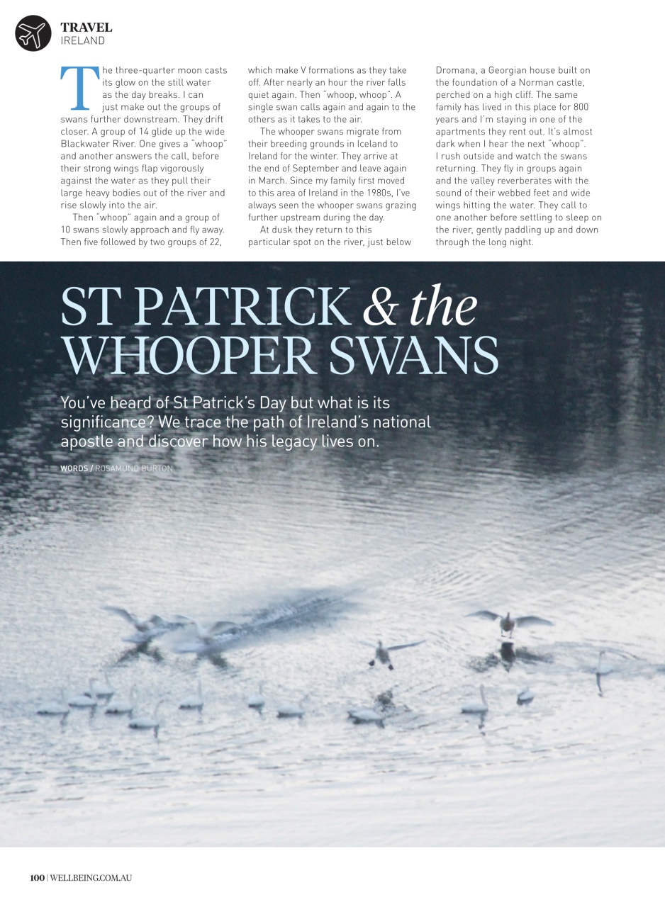 WellBeing Preview Pages