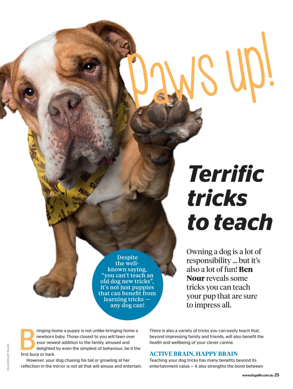 Dogs Life Preview Pages