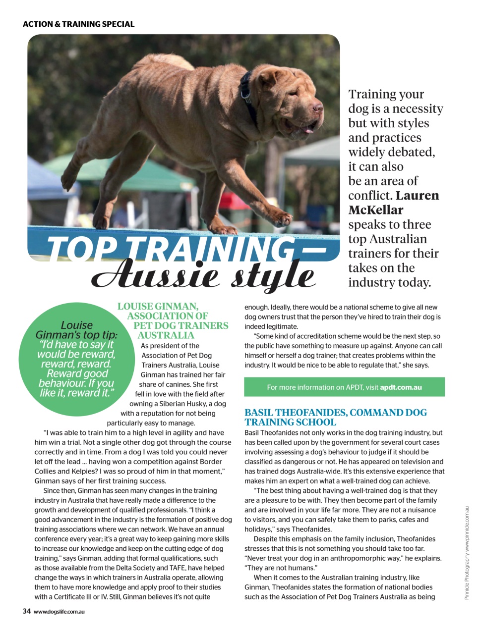 Dogs Life Preview Pages