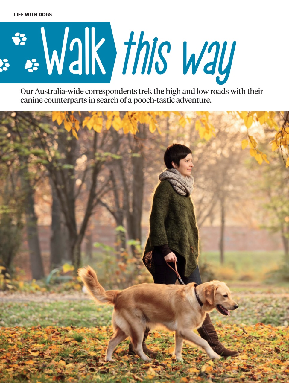 Dogs Life Preview Pages