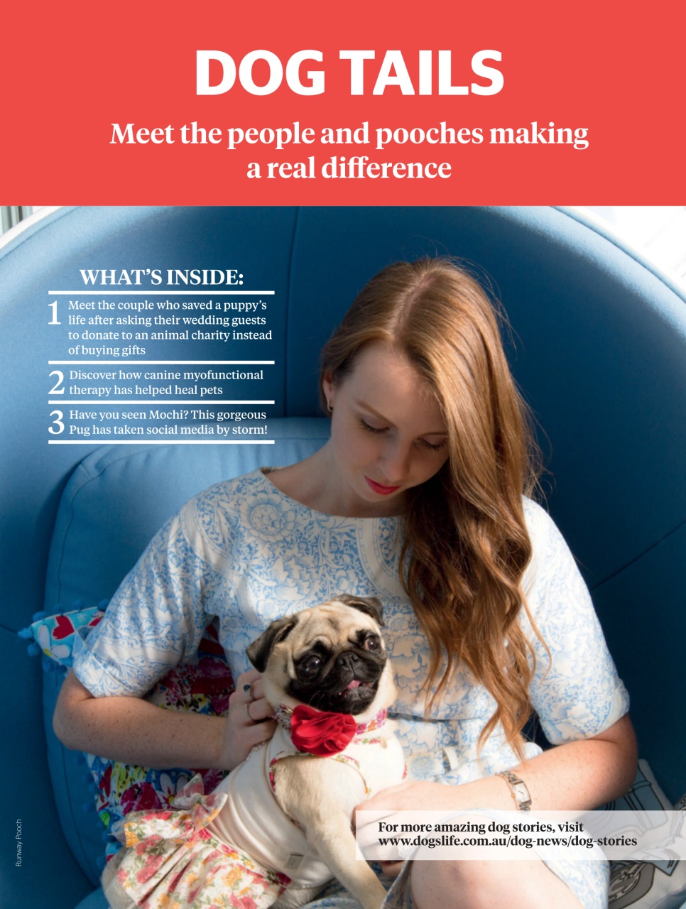 Dogs Life Preview Pages