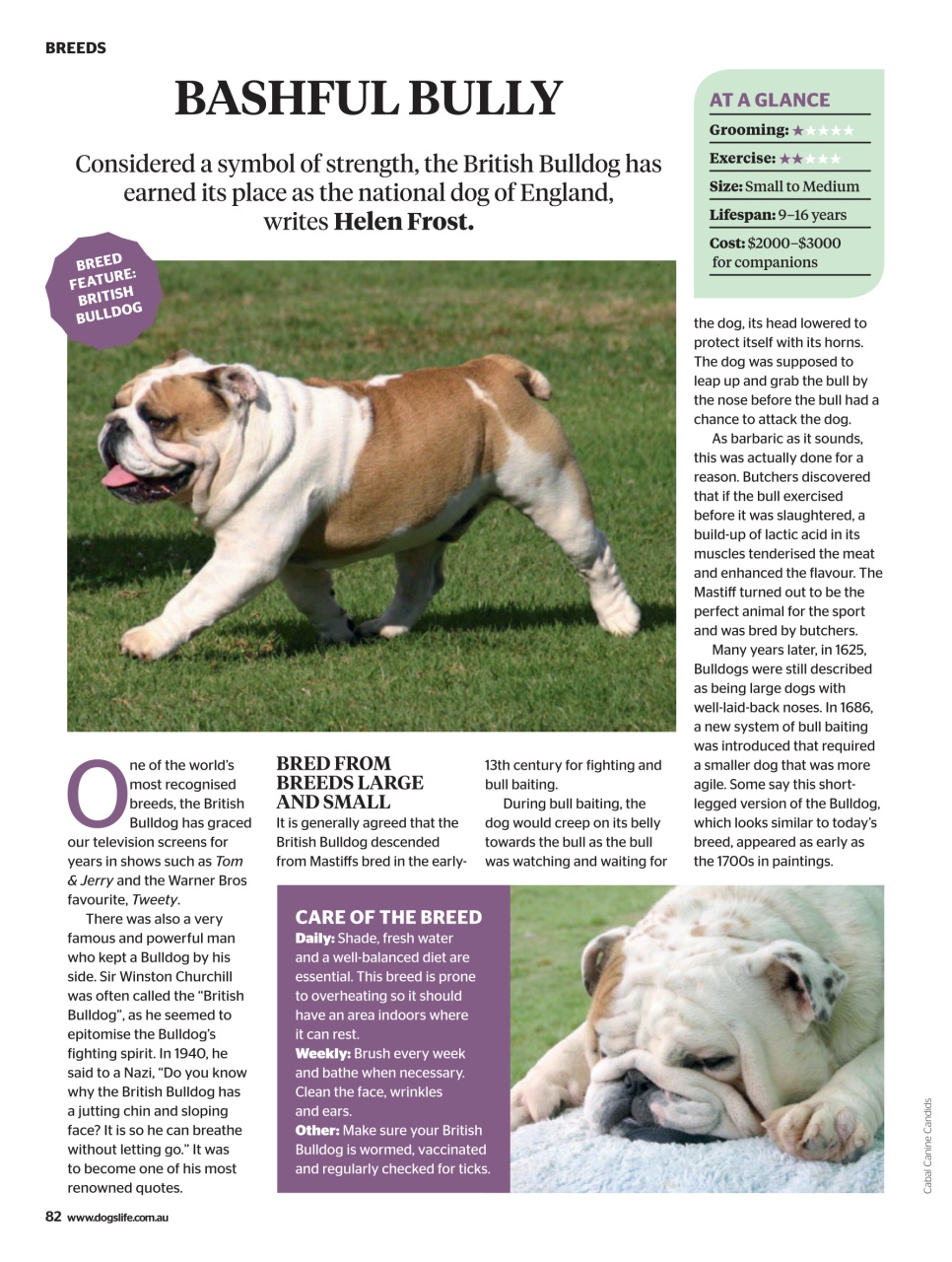 Dogs Life Preview Pages