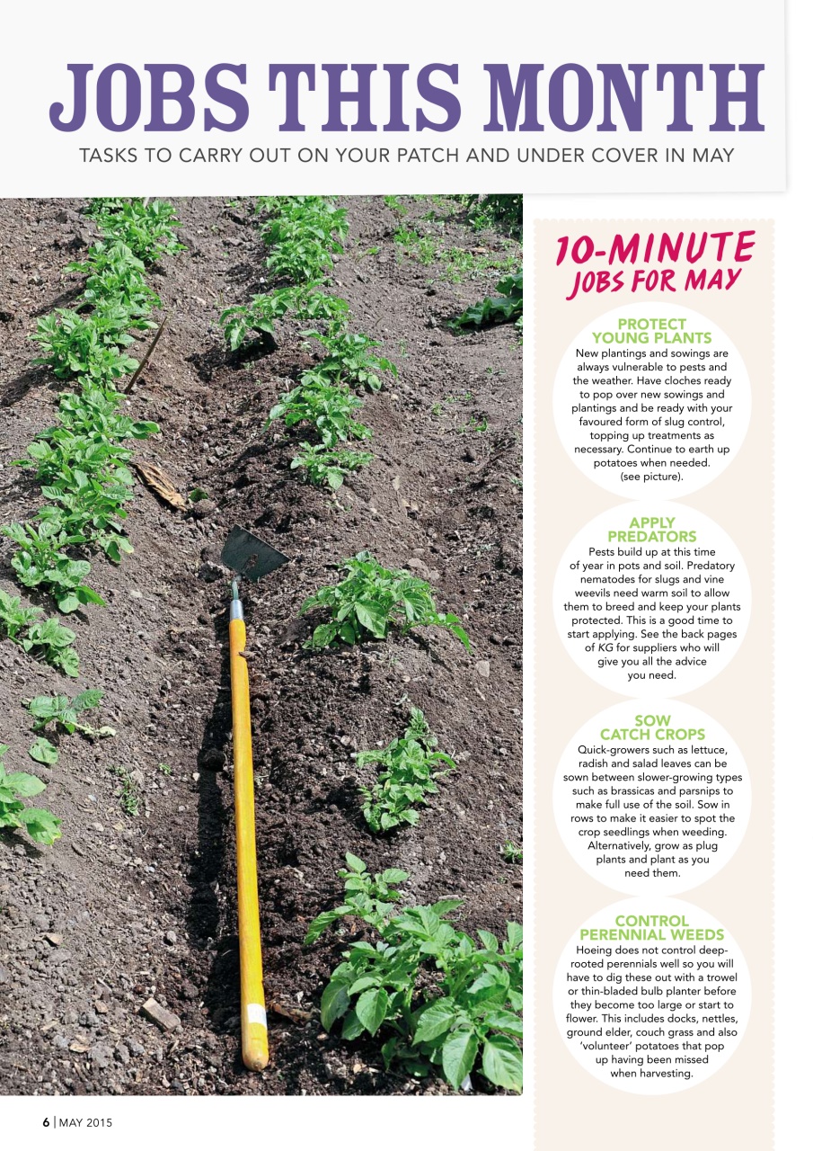 Kitchen Garden Magazine Preview Pages