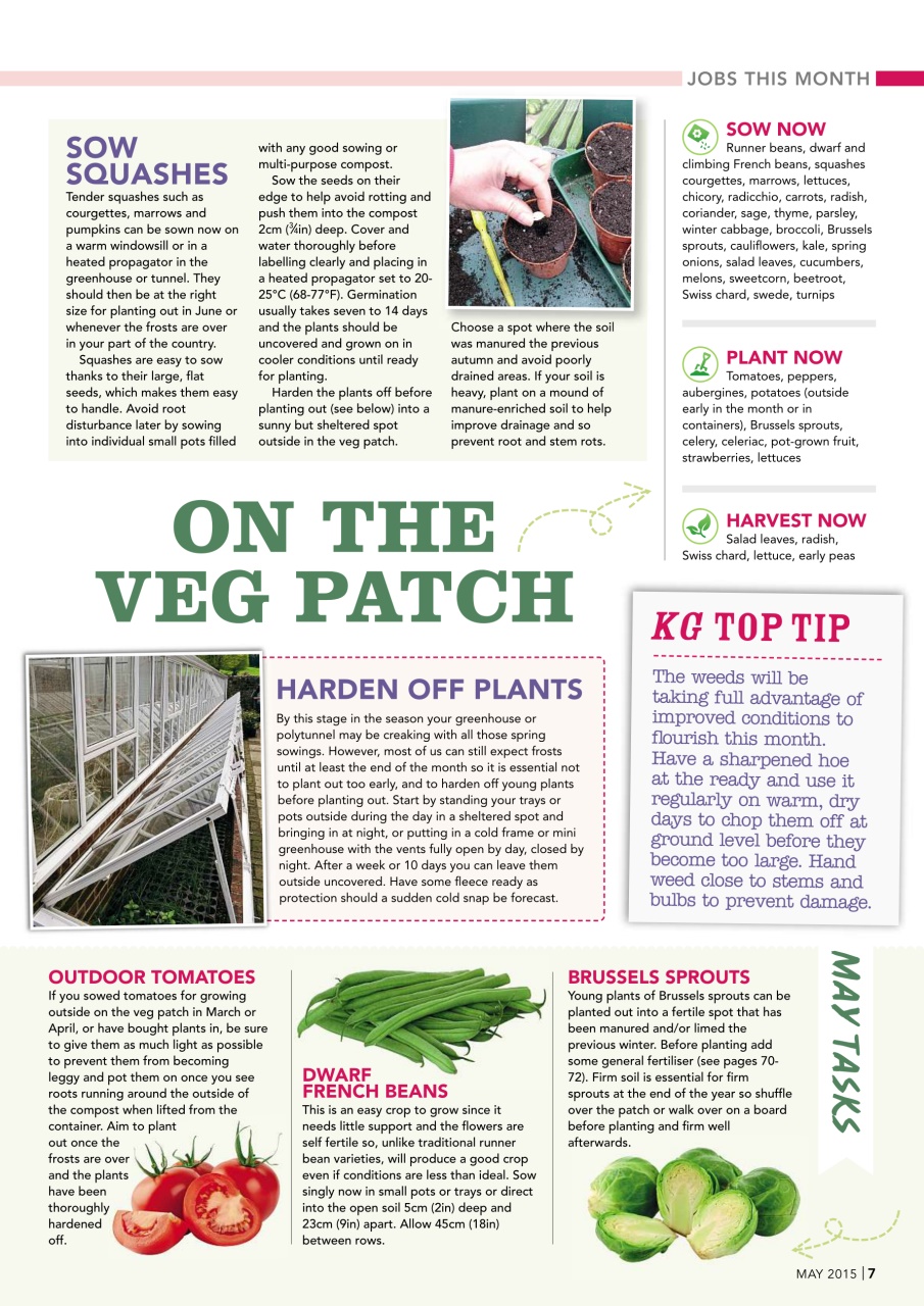 Kitchen Garden Magazine Preview Pages