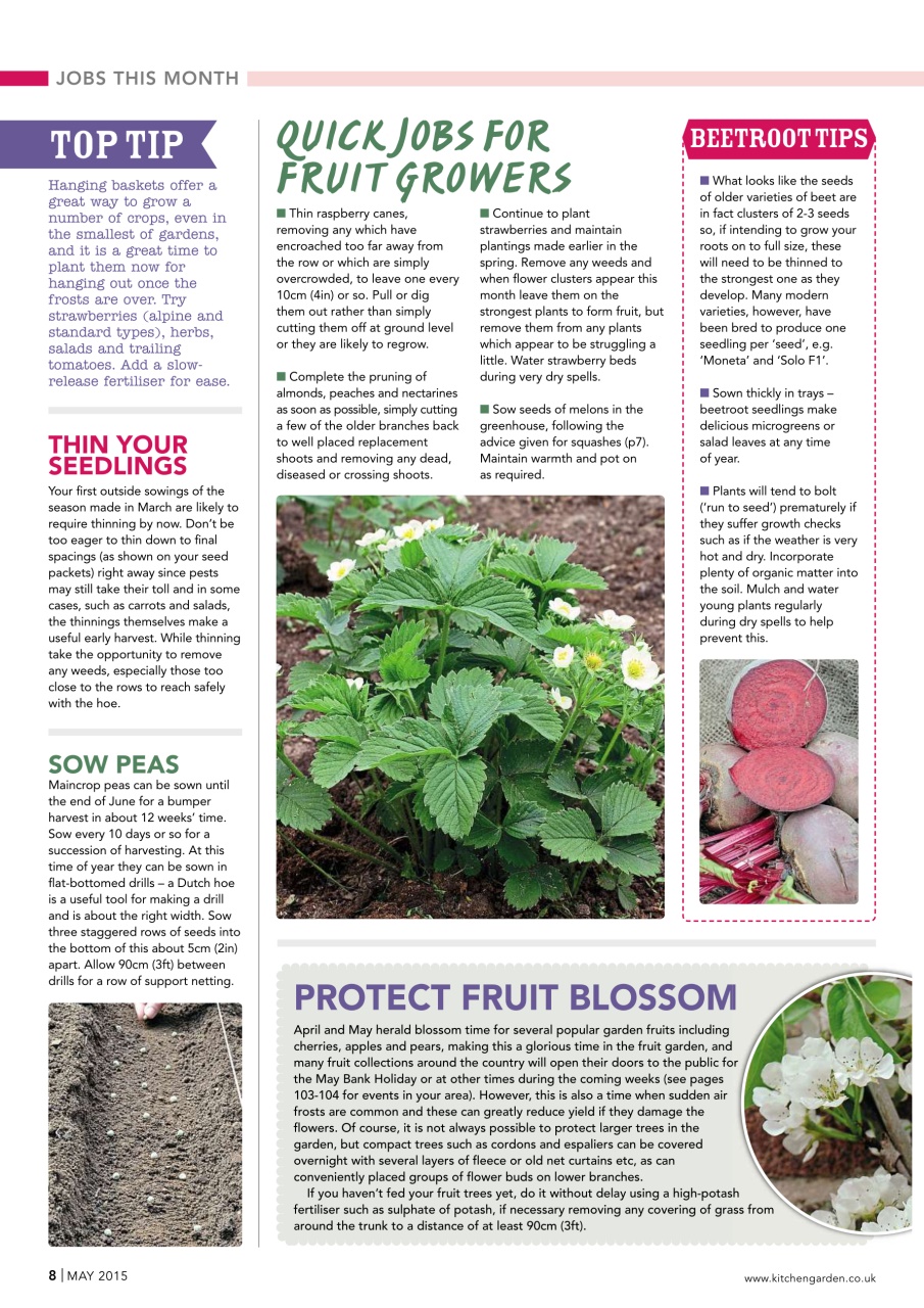 Kitchen Garden Magazine Preview Pages