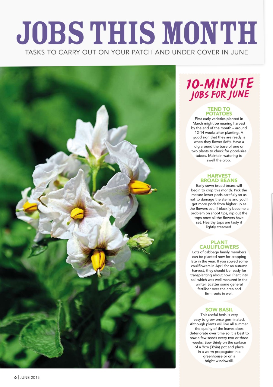 Kitchen Garden Magazine Preview Pages