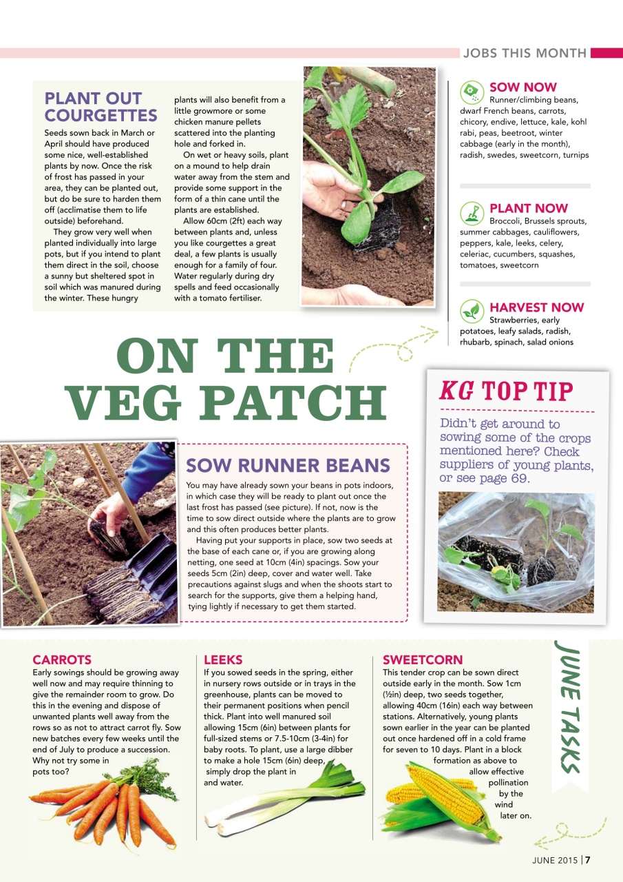 Kitchen Garden Magazine Preview Pages