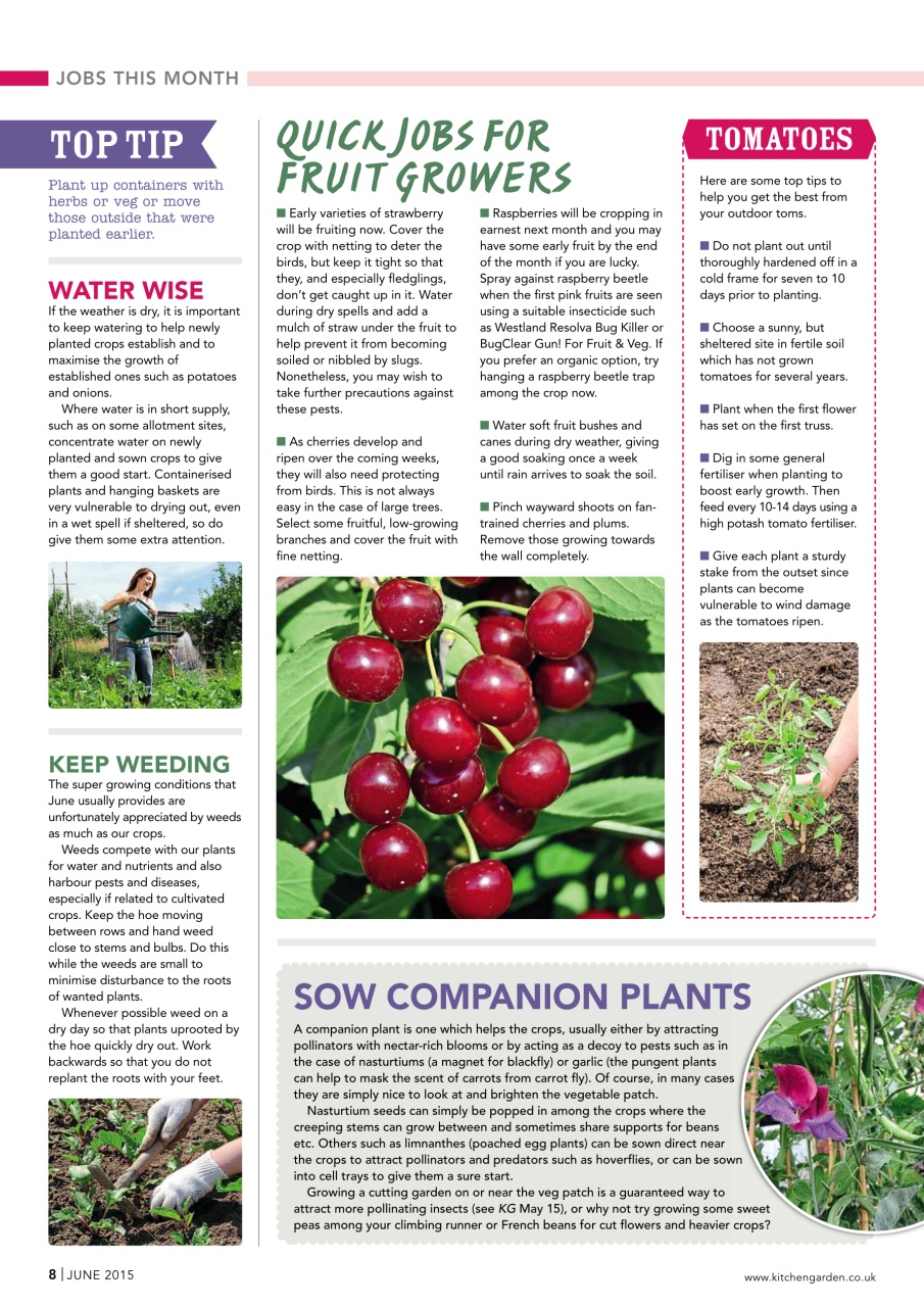 Kitchen Garden Magazine Preview Pages