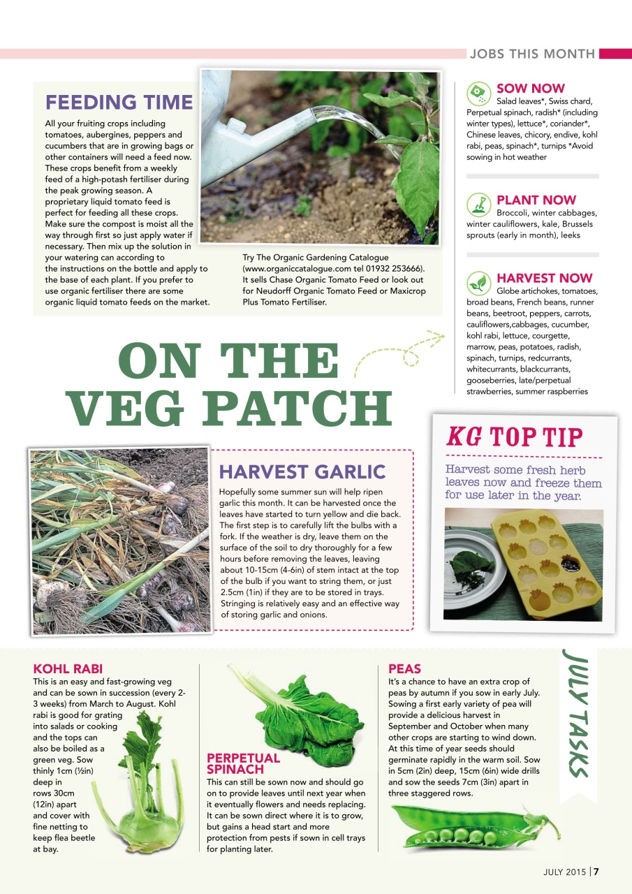 Kitchen Garden Magazine Preview Pages
