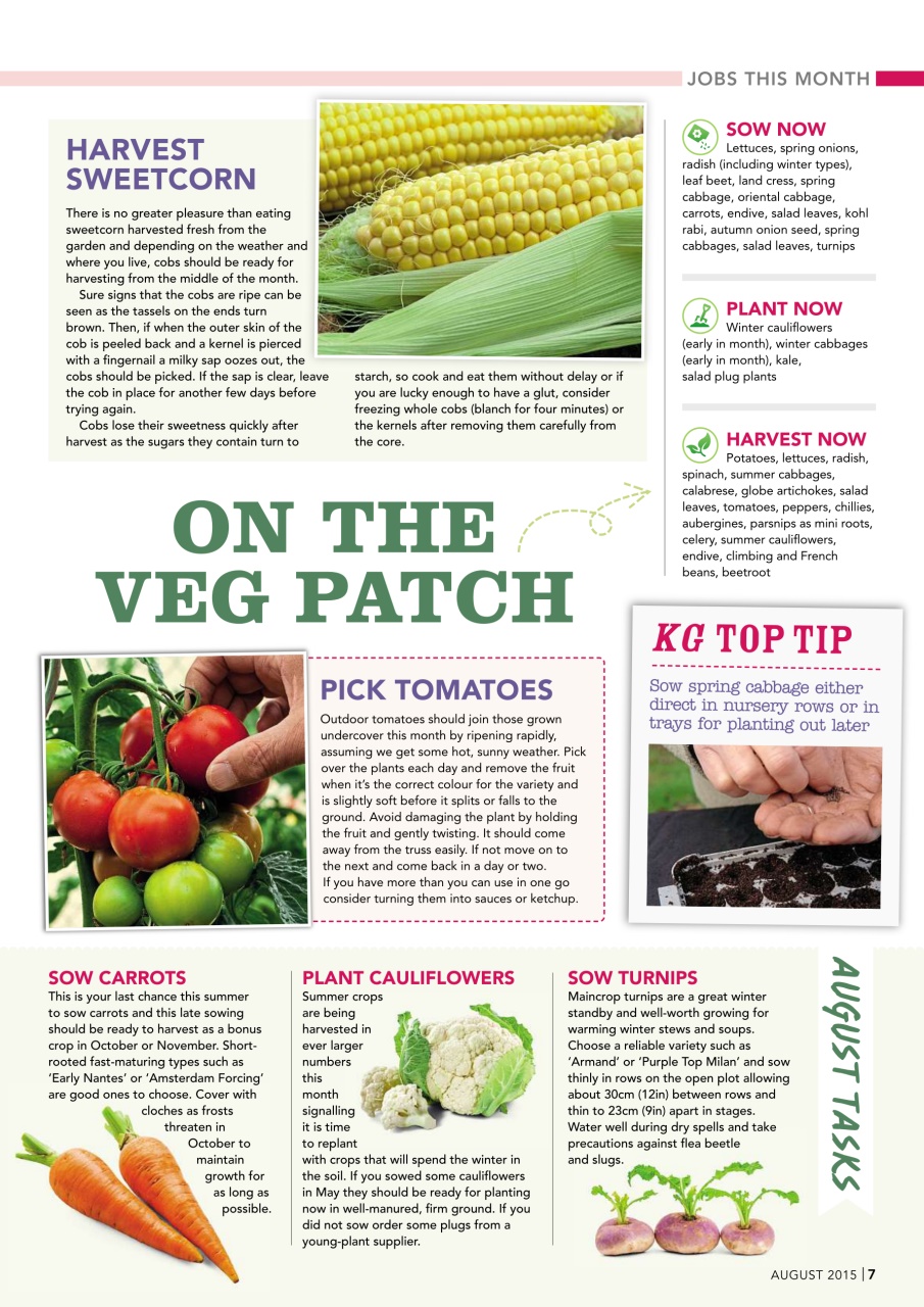 Kitchen Garden Magazine Preview Pages