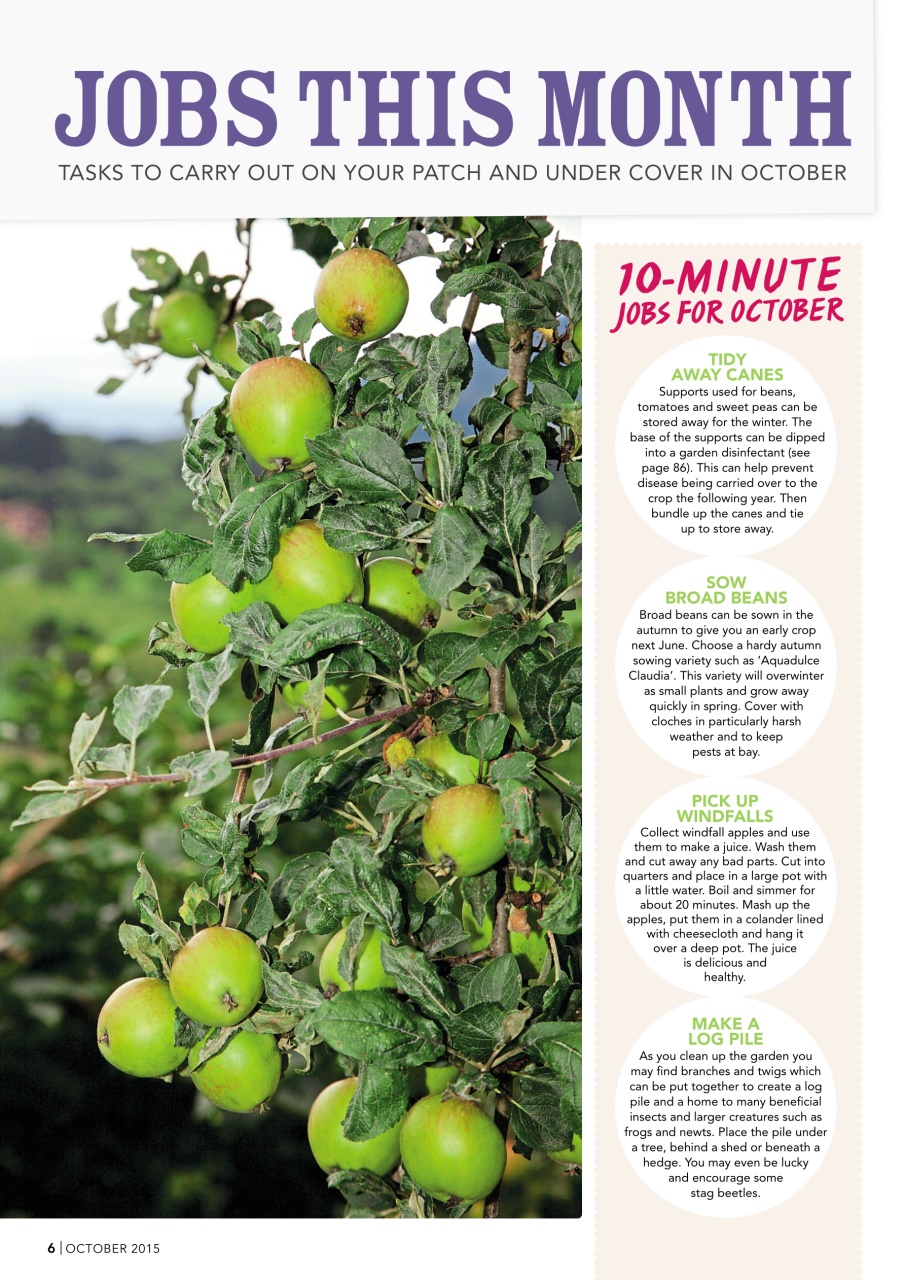 Kitchen Garden Magazine Preview Pages