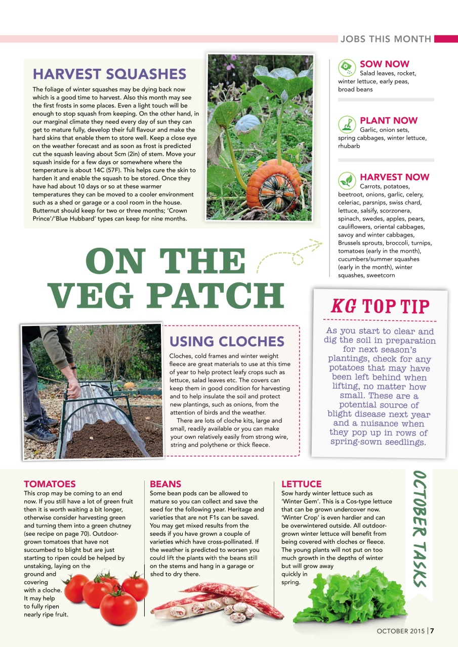 Kitchen Garden Magazine Preview Pages
