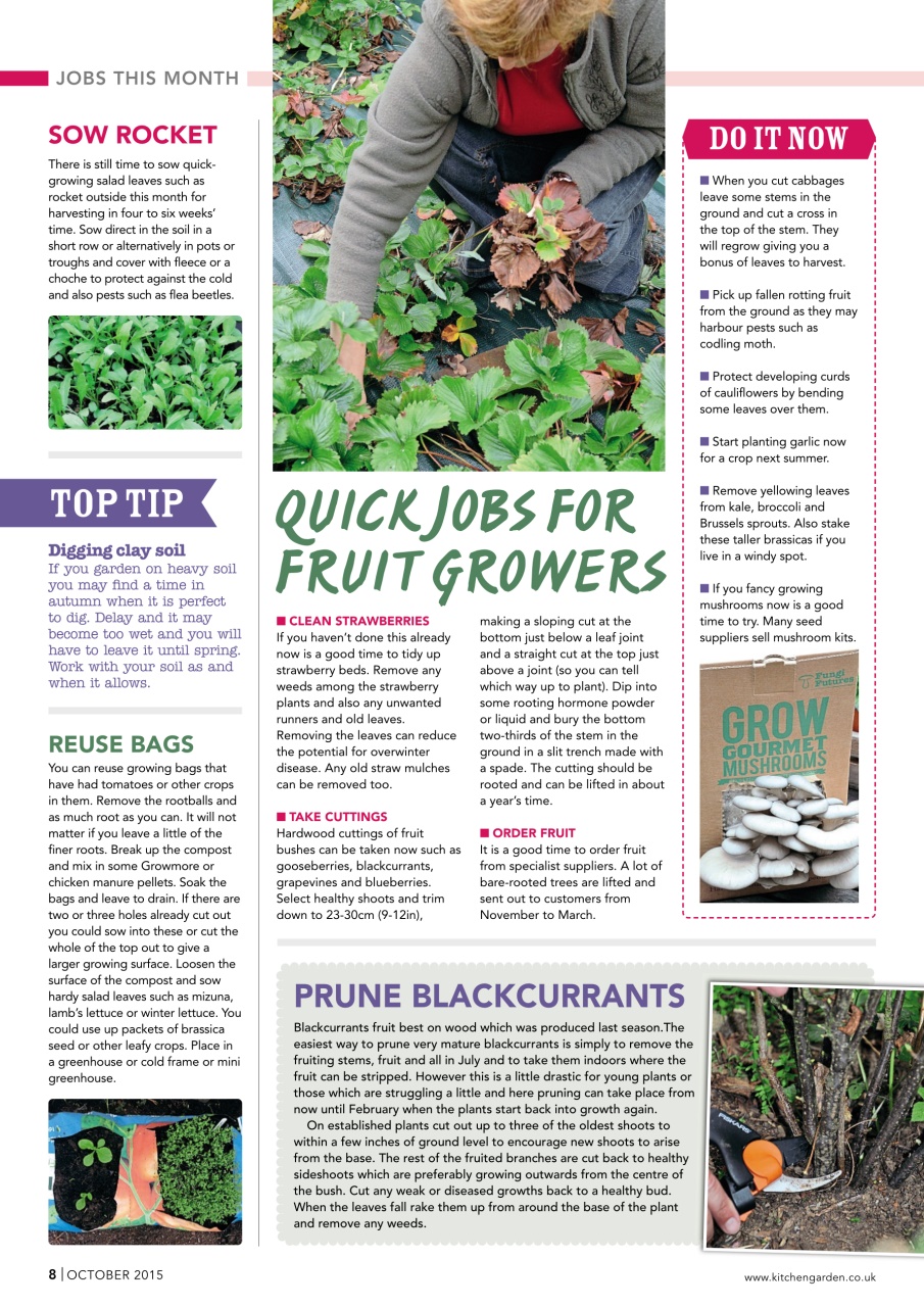 Kitchen Garden Magazine Preview Pages